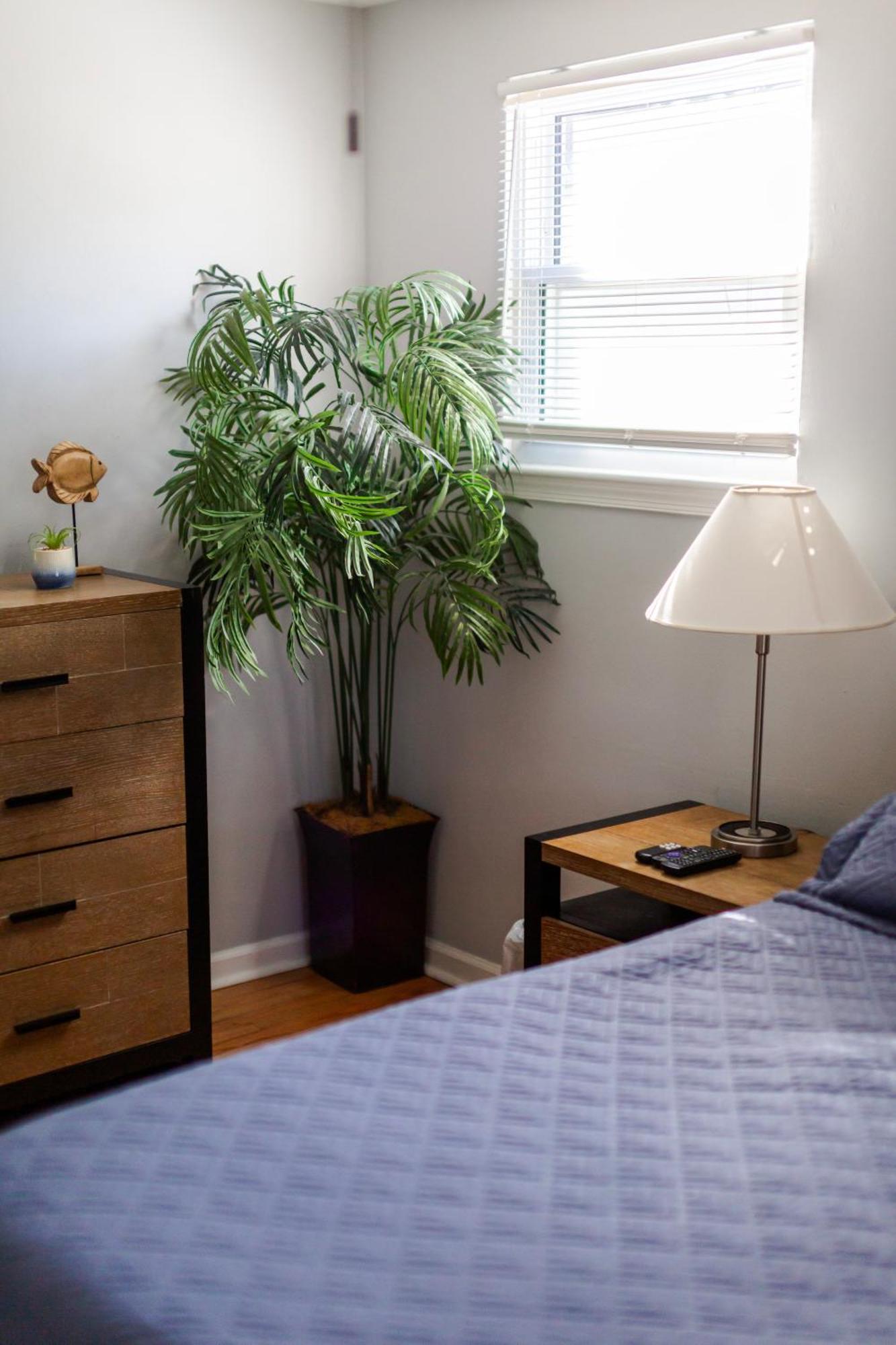 Fantastic 3Br Close To Botanical Gardens And Airport Norfolk Bagian luar foto